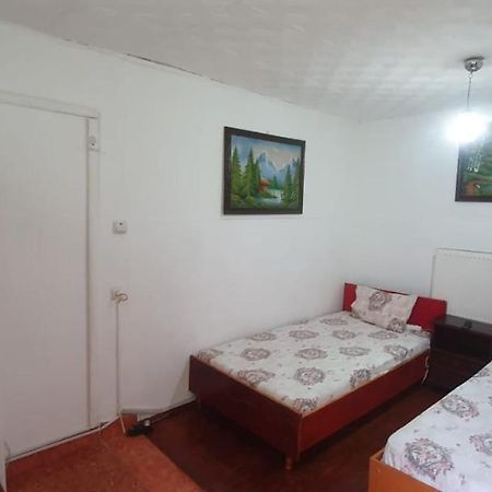 Hotel Casa Pitaru Calafat Esterno foto