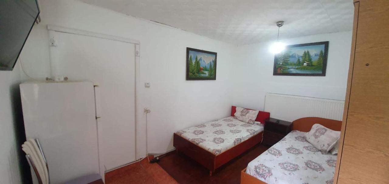 Hotel Casa Pitaru Calafat Esterno foto
