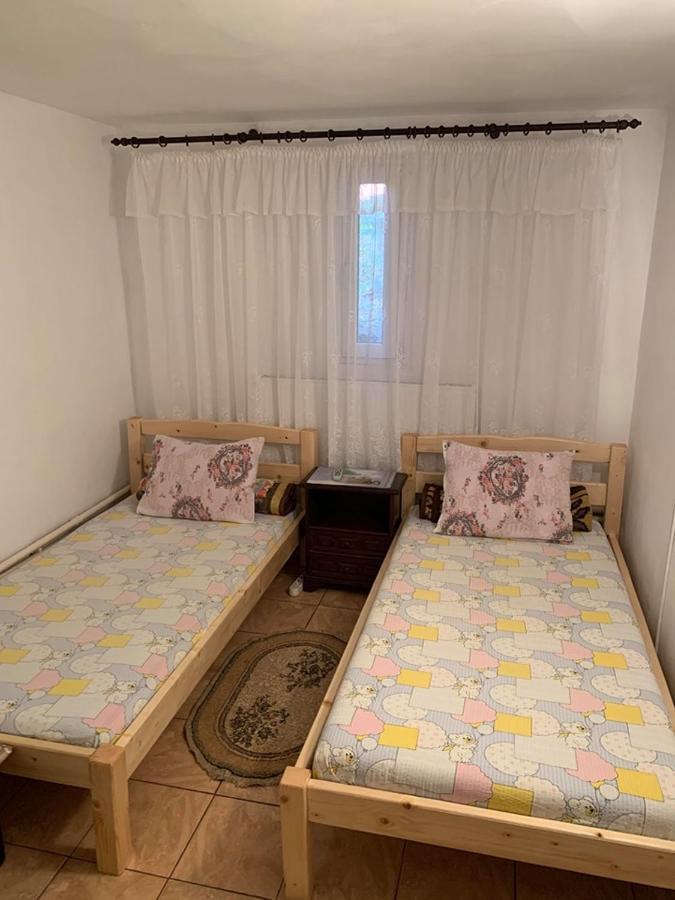 Hotel Casa Pitaru Calafat Esterno foto