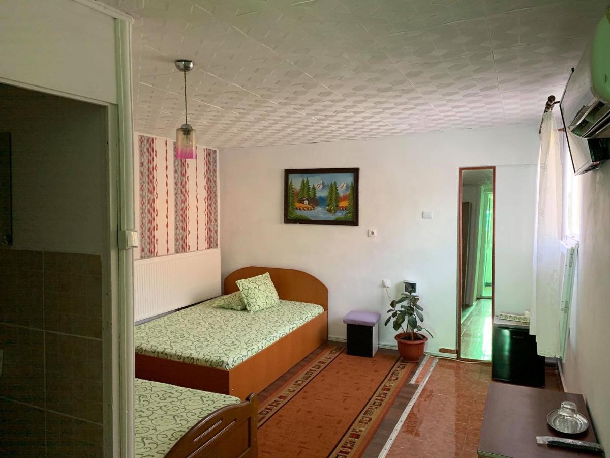 Hotel Casa Pitaru Calafat Esterno foto
